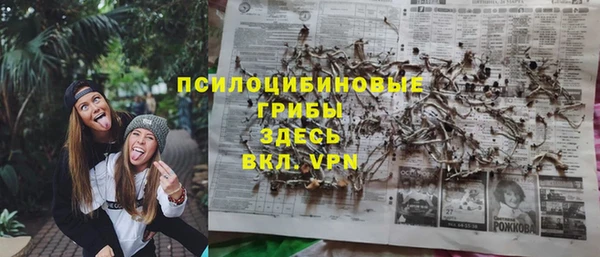 скорость Лиски
