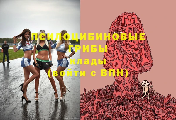 скорость Липки