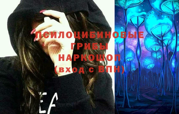 spice Лихославль